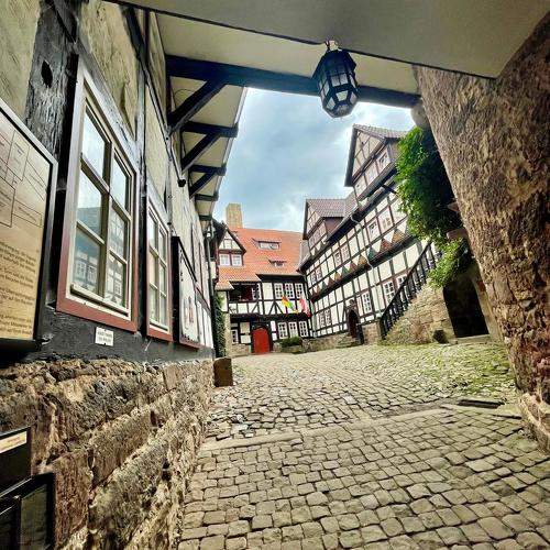 Photo #10776520