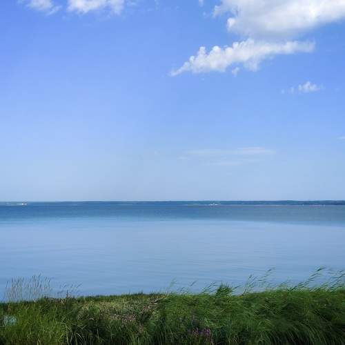 Photo #10776625