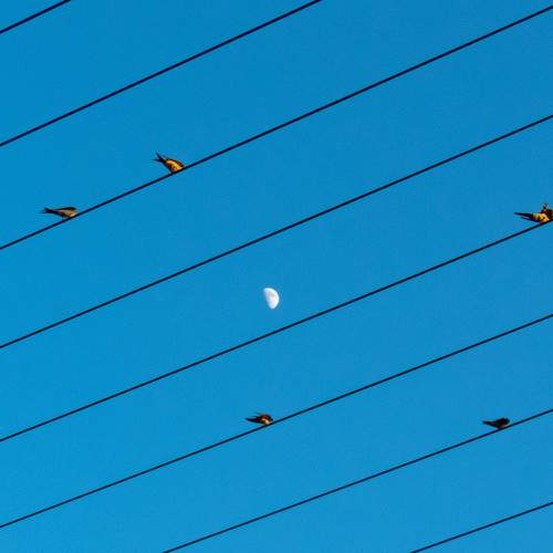 Photo #10776802