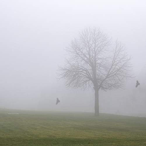 Photo #10776949