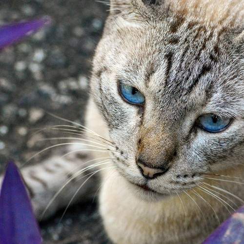 Photo #10777090