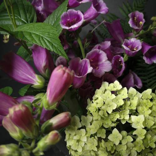 Photo #10777837