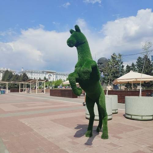 Photo #10777864