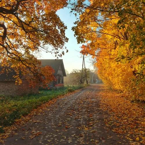 Photo #10778044