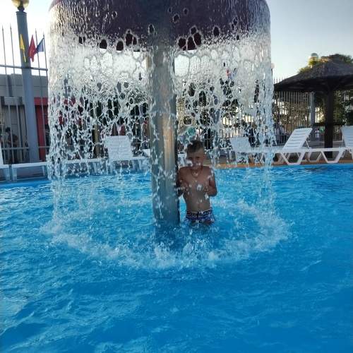 Photo #10778062