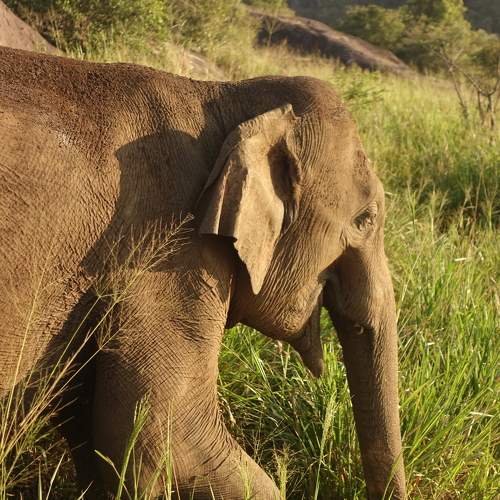 Photo #10778320