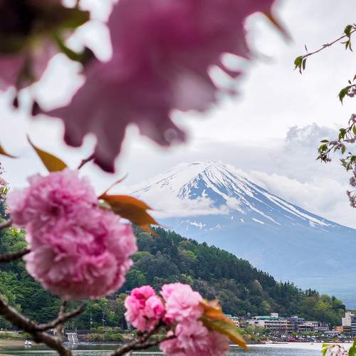 Photo #10778503