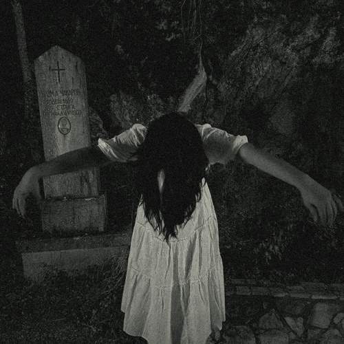 Photo #10778838