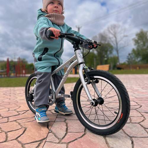 Photo #10778842