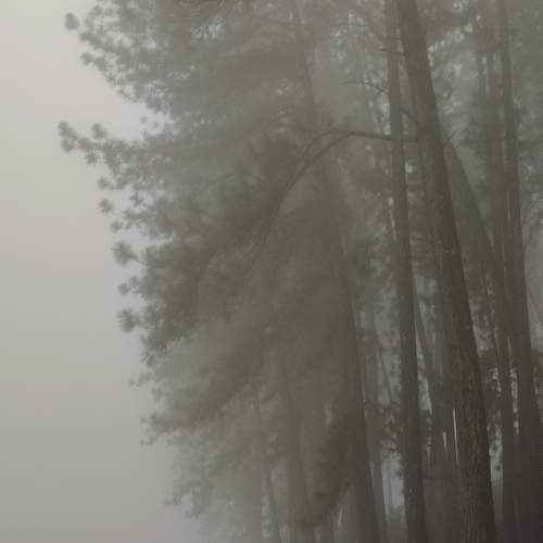 Photo #10779192