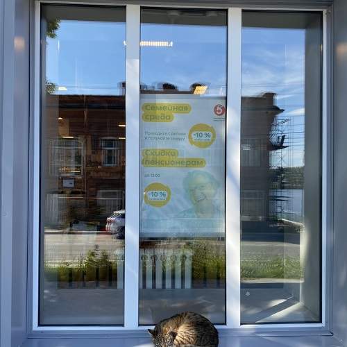 Photo #10779506