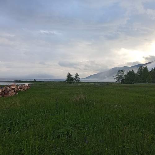 Photo #10779622