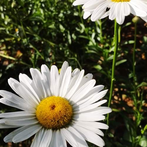 Photo #10779656