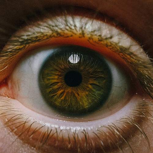 Photo #10779810