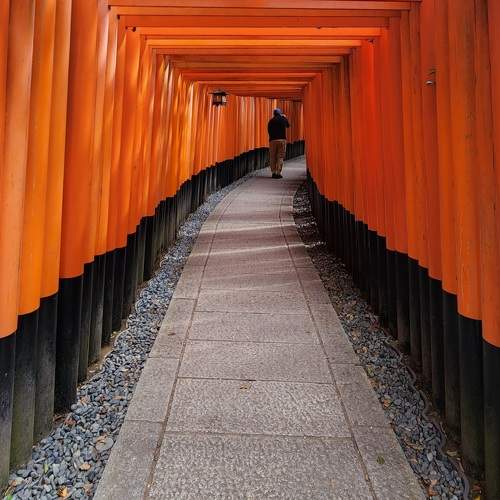Photo #10779851