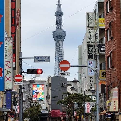 Photo #10779852