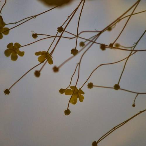 Photo #10780259