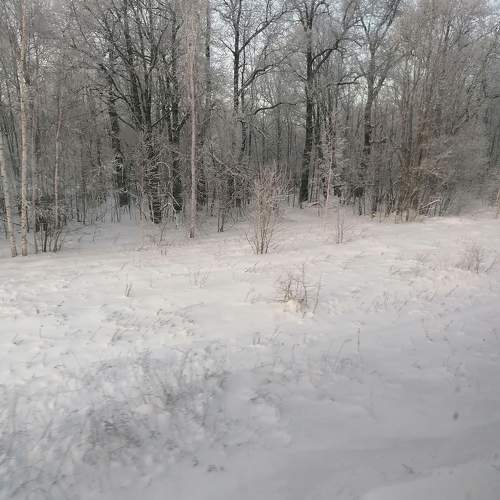Photo #10780315