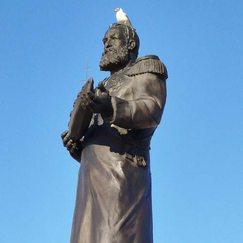 Академик и чайка.