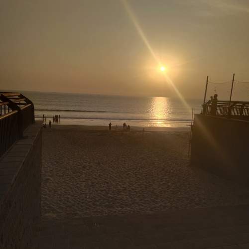 Photo #10780421
