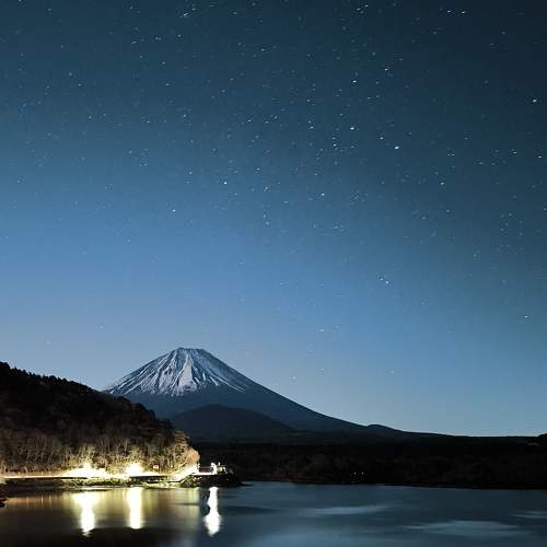 Photo #10780559