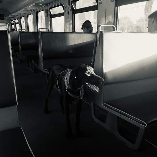 Photo #10780759
