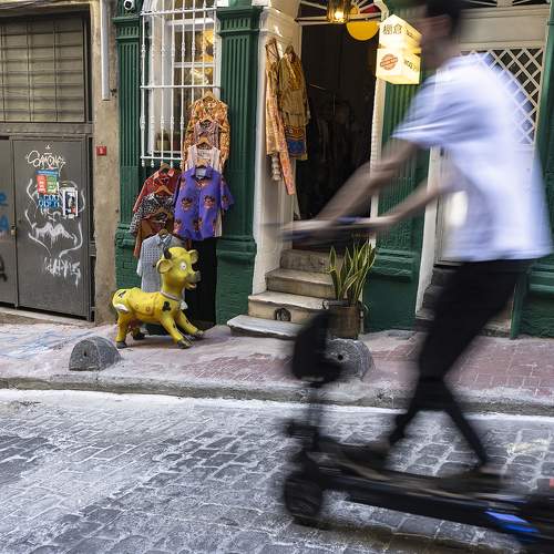 Photo #10780824