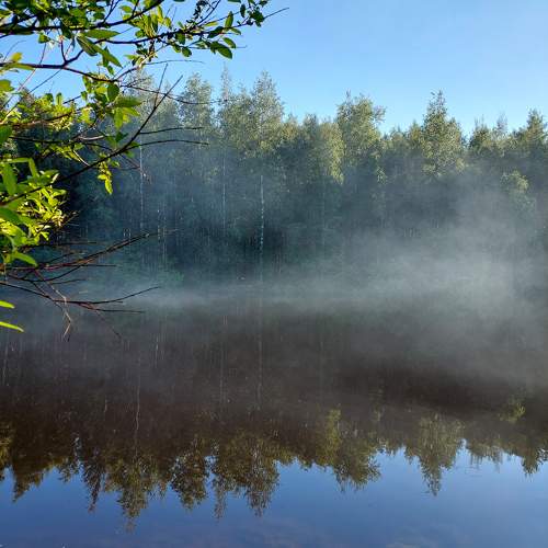 Photo #10780826
