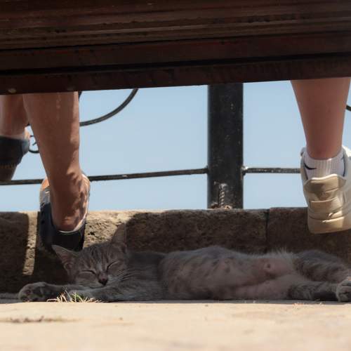 Photo #10781322