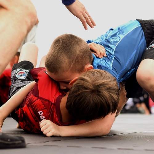 Photo #10781330