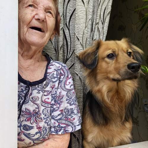 Photo #10781355