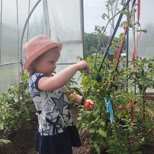Photo #10781364