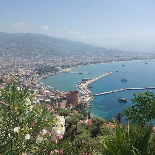 Photo #10781366