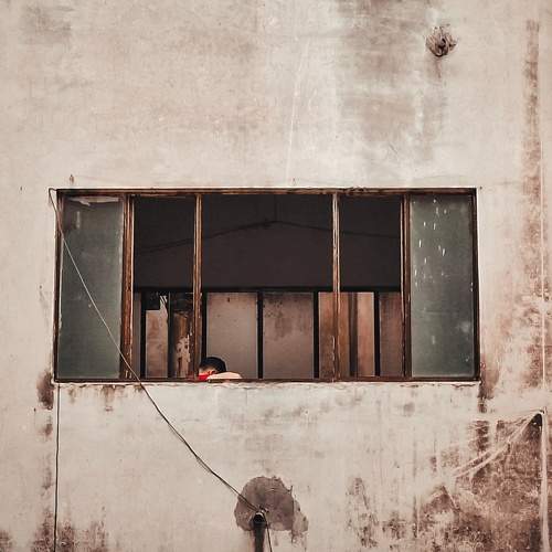 Photo #10781423