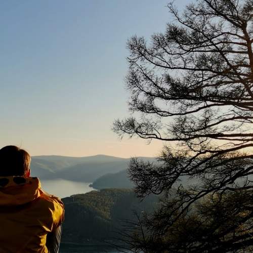 Photo #10781647