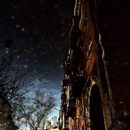Photo #10781672