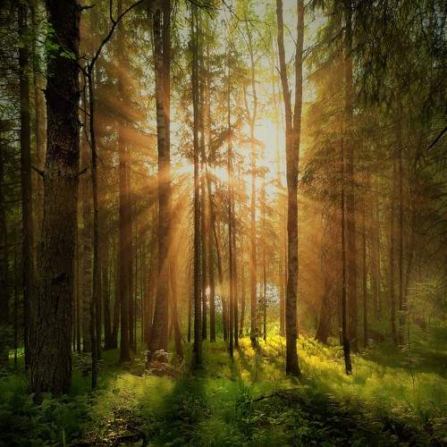 Photo #10782262