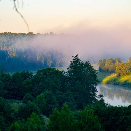 Photo #10783113