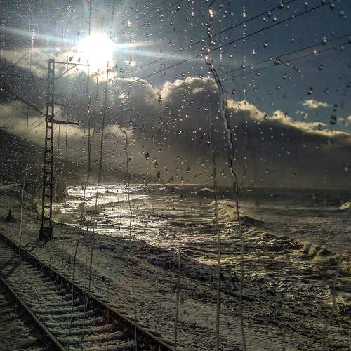 Photo #10783339