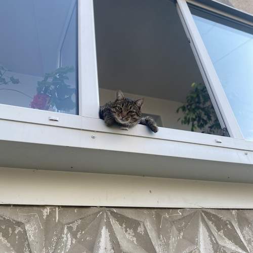 Photo #10783345