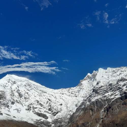 Photo #10783596