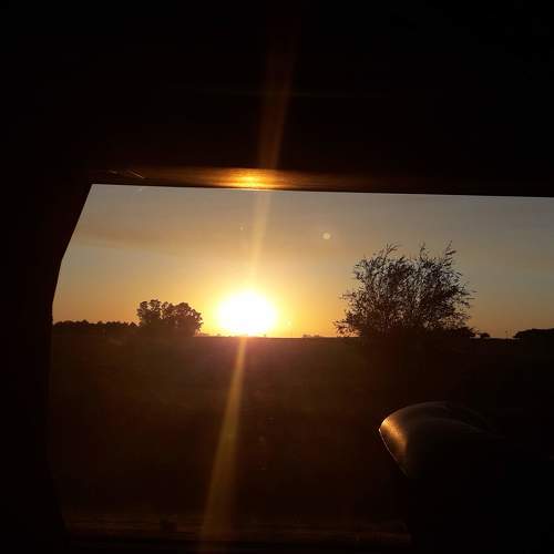 Photo #10783609