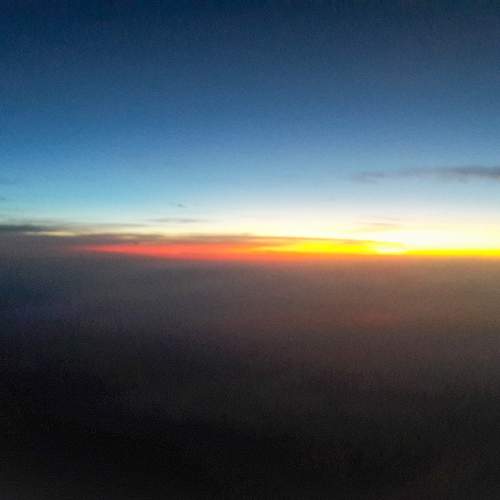 Photo #10783619