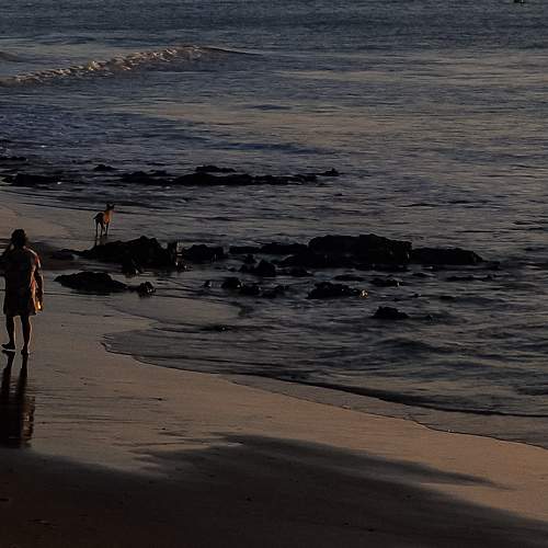 Photo #10783632
