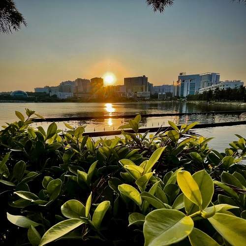 Photo #10783952