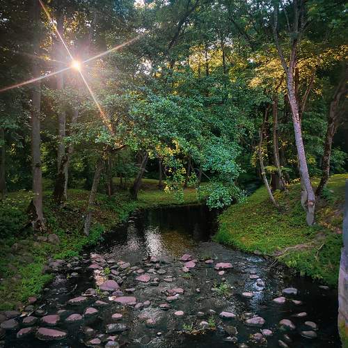 Photo #10783997