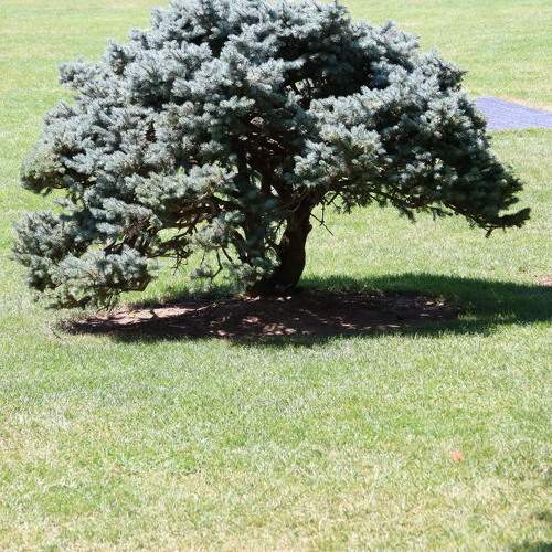 Photo #10784345