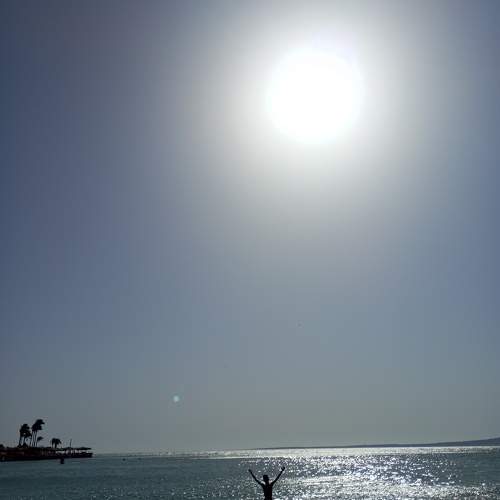 Photo #10784392