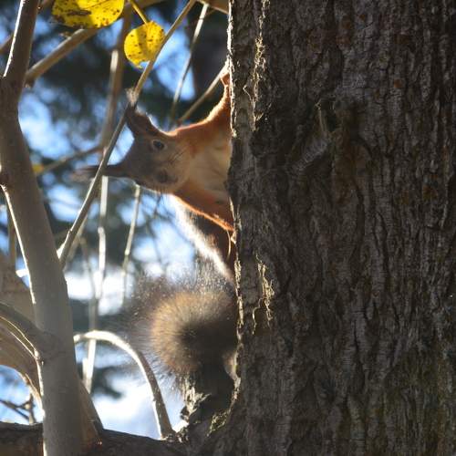 Photo #10784437