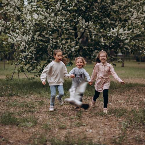 Photo #10784685